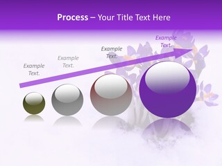 Easter Natural Purple PowerPoint Template