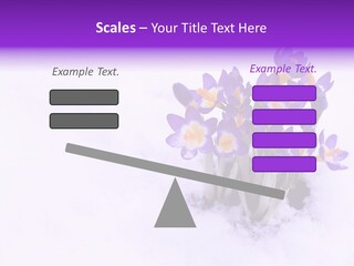 Easter Natural Purple PowerPoint Template