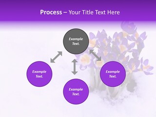 Easter Natural Purple PowerPoint Template