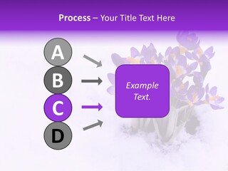 Easter Natural Purple PowerPoint Template