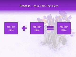 Easter Natural Purple PowerPoint Template