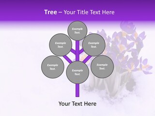 Easter Natural Purple PowerPoint Template
