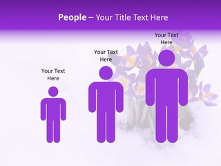 Easter Natural Purple PowerPoint Template