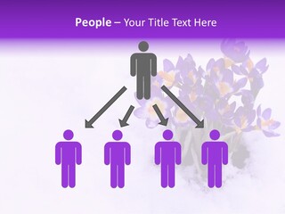 Easter Natural Purple PowerPoint Template