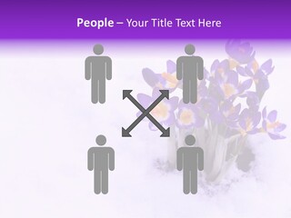 Easter Natural Purple PowerPoint Template