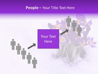Easter Natural Purple PowerPoint Template