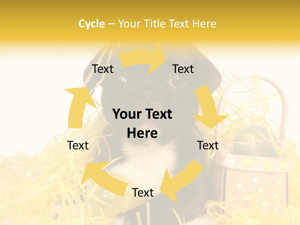 Puppy Expression Brown PowerPoint Template