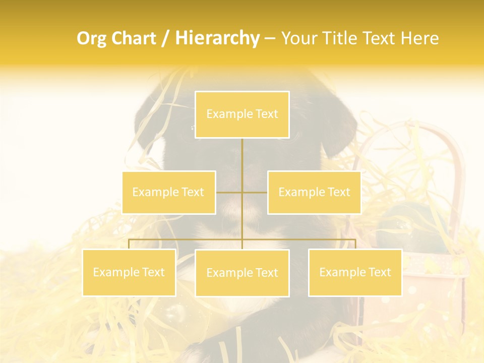 Puppy Expression Brown PowerPoint Template