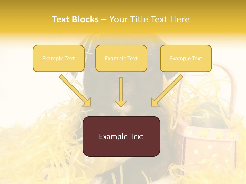 Puppy Expression Brown PowerPoint Template