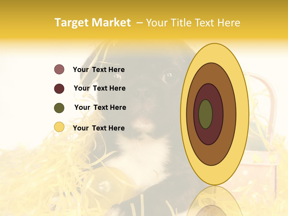 Puppy Expression Brown PowerPoint Template