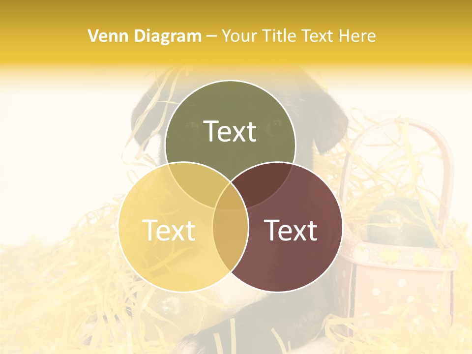 Puppy Expression Brown PowerPoint Template