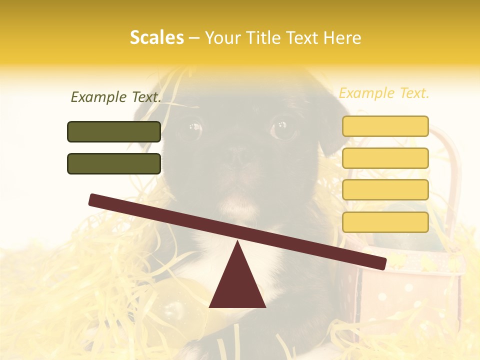 Puppy Expression Brown PowerPoint Template