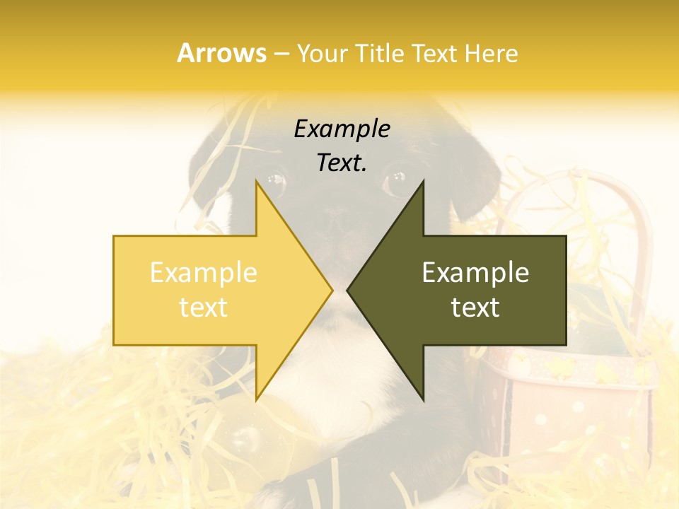 Puppy Expression Brown PowerPoint Template