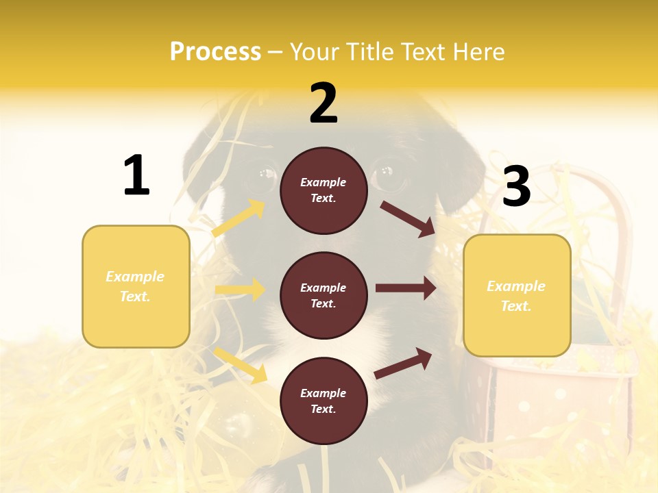 Puppy Expression Brown PowerPoint Template