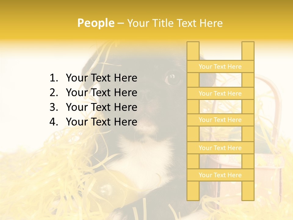 Puppy Expression Brown PowerPoint Template