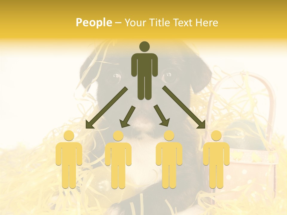 Puppy Expression Brown PowerPoint Template