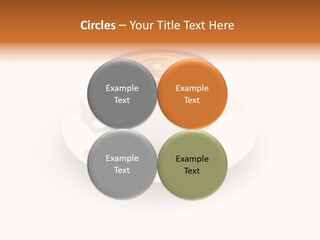 Pharmaceutical Industry Work Experienced PowerPoint Template