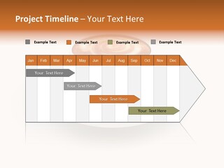 Pharmaceutical Industry Work Experienced PowerPoint Template