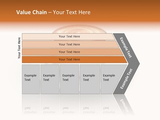 Pharmaceutical Industry Work Experienced PowerPoint Template
