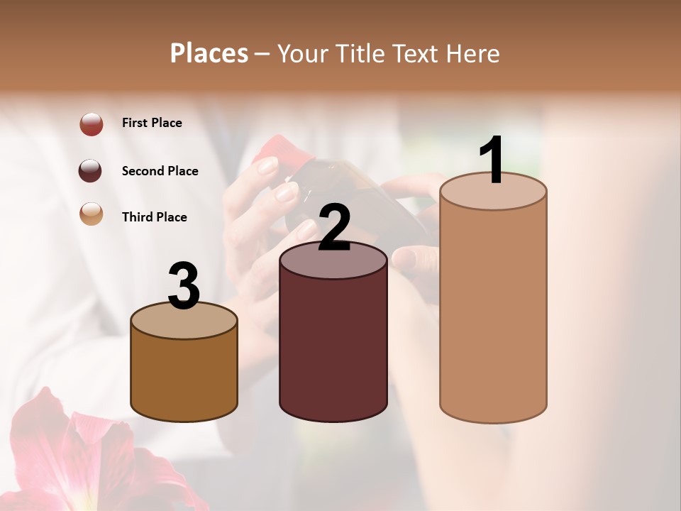 Pharmaceutical Industry Work Experienced PowerPoint Template