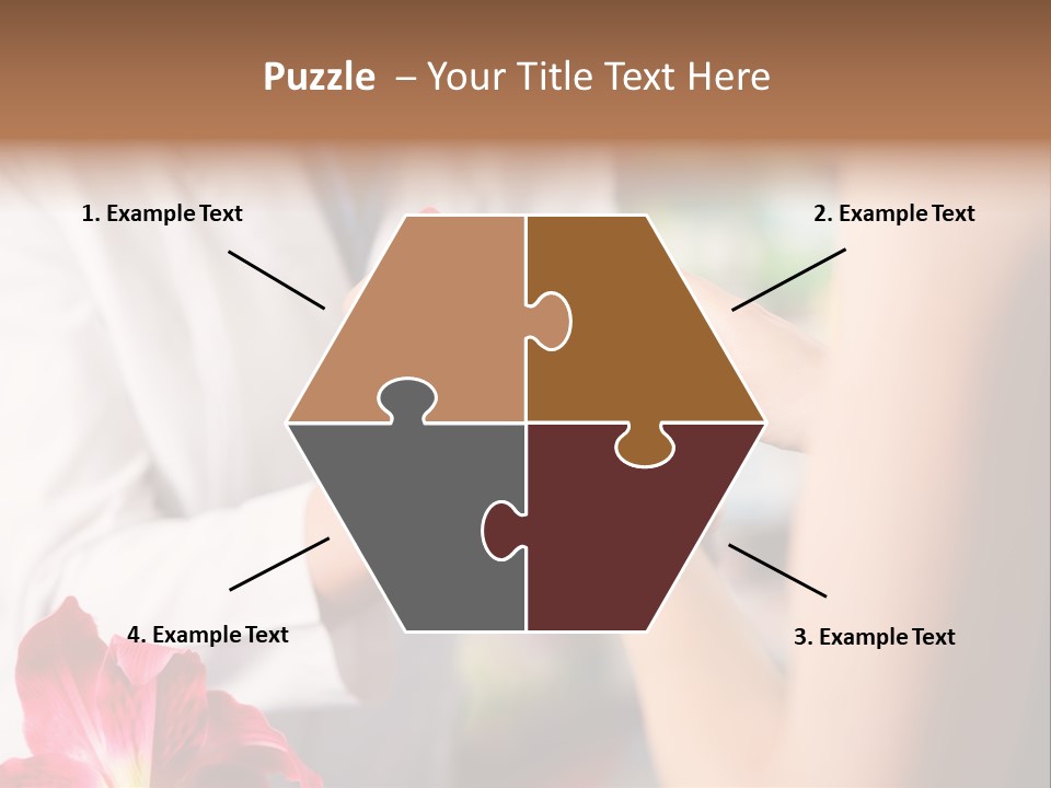 Pharmaceutical Industry Work Experienced PowerPoint Template