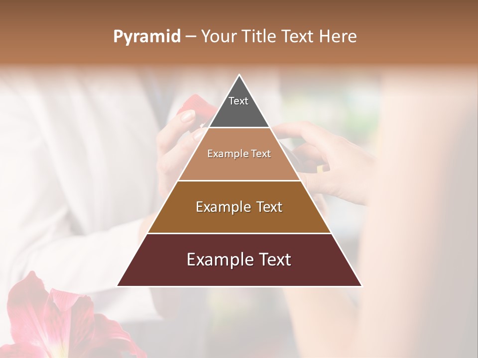 Pharmaceutical Industry Work Experienced PowerPoint Template