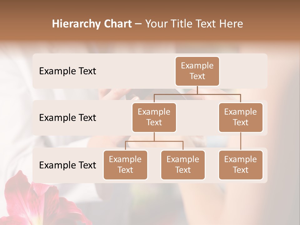 Pharmaceutical Industry Work Experienced PowerPoint Template