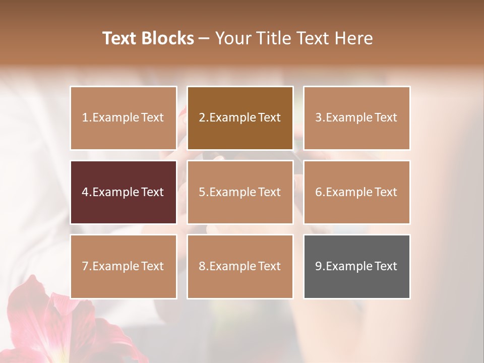 Pharmaceutical Industry Work Experienced PowerPoint Template