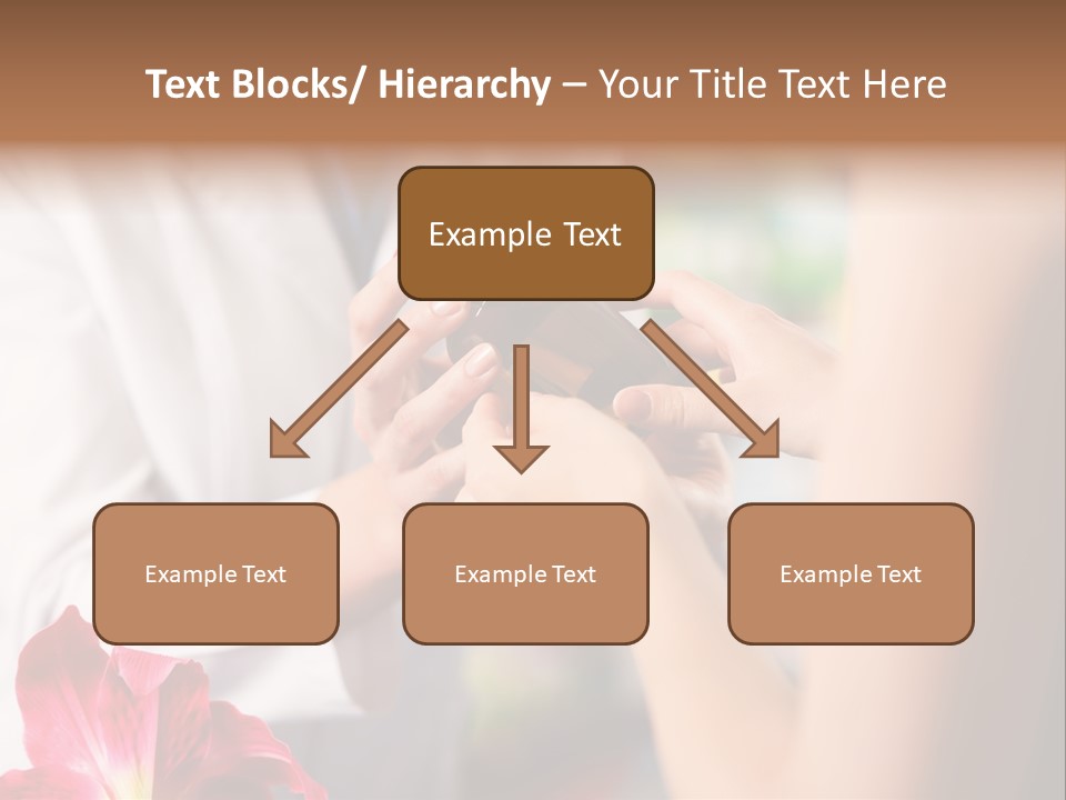 Pharmaceutical Industry Work Experienced PowerPoint Template