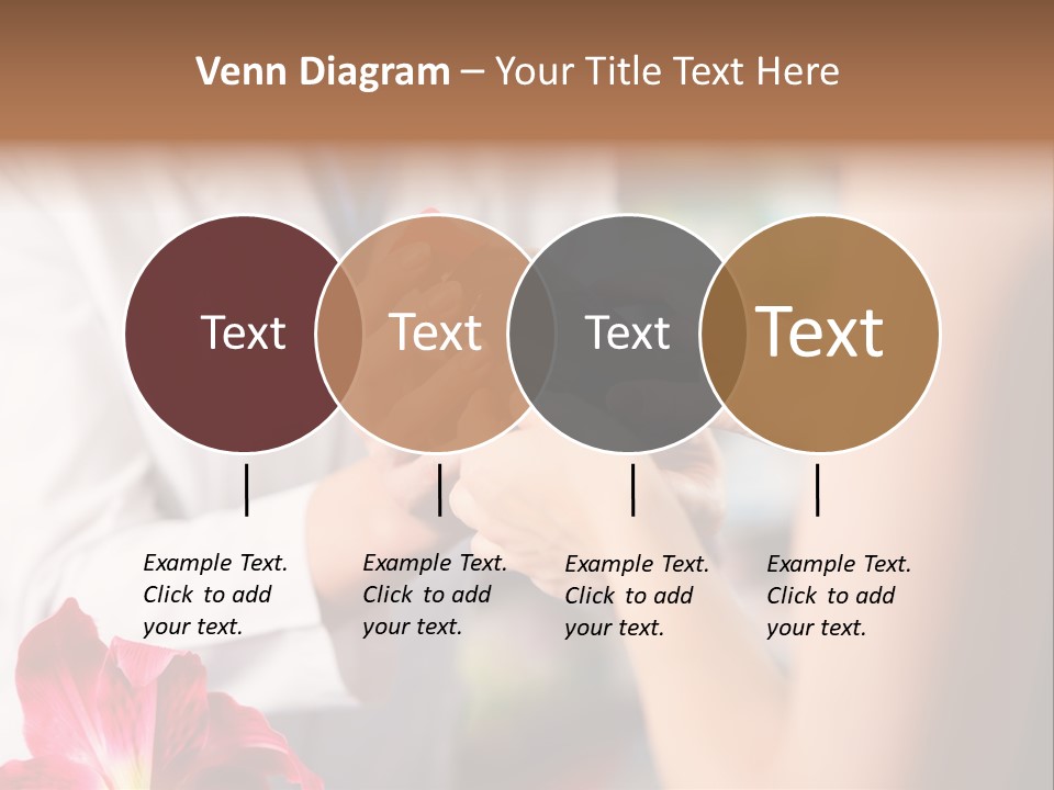 Pharmaceutical Industry Work Experienced PowerPoint Template