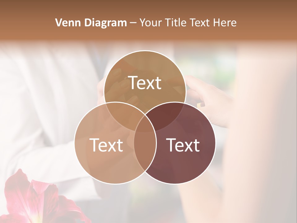 Pharmaceutical Industry Work Experienced PowerPoint Template