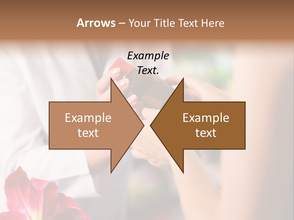 Pharmaceutical Industry Work Experienced PowerPoint Template