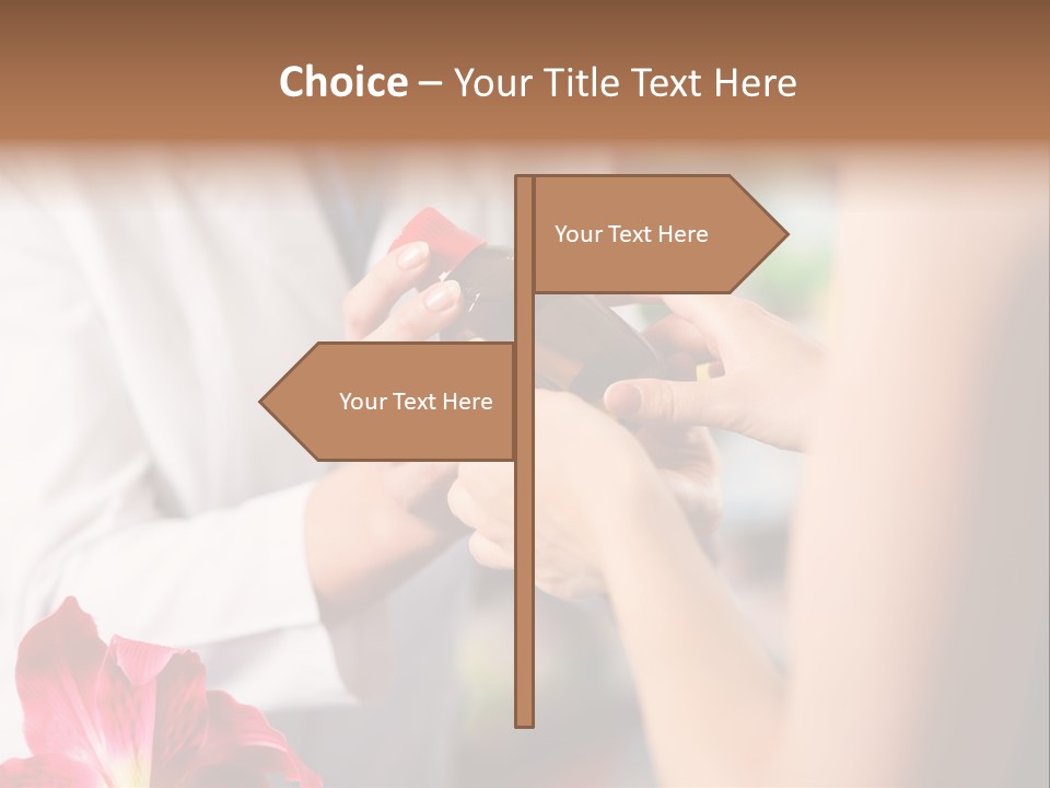 Pharmaceutical Industry Work Experienced PowerPoint Template