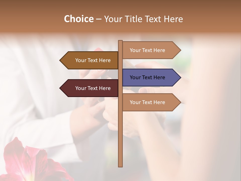 Pharmaceutical Industry Work Experienced PowerPoint Template