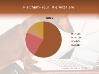 Screen Race Surfing PowerPoint Template