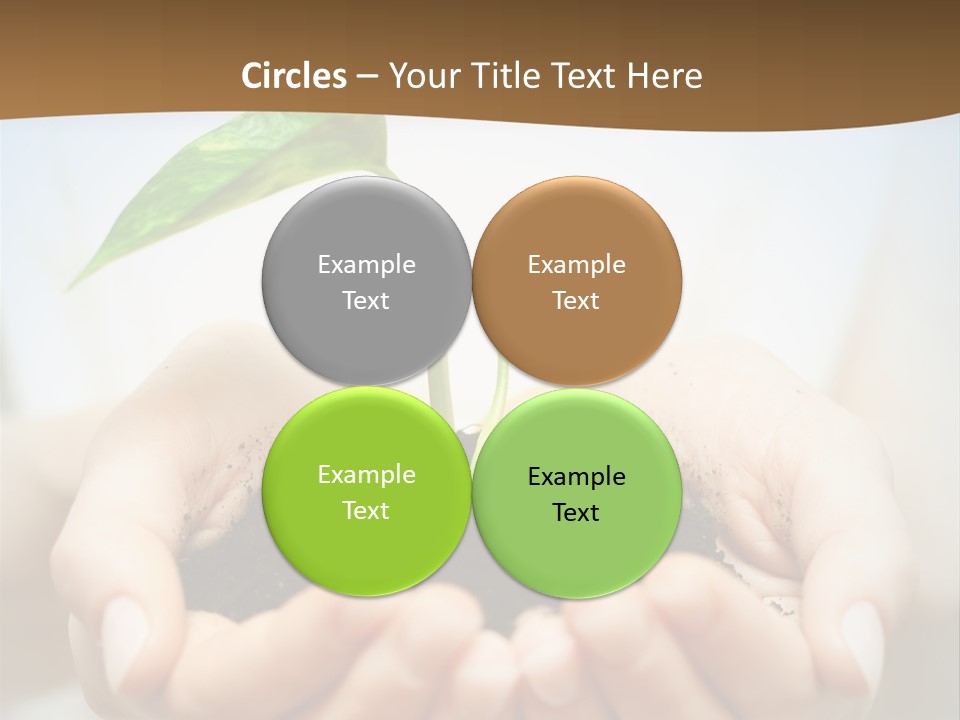 Sprout Grow Cultivated PowerPoint Template