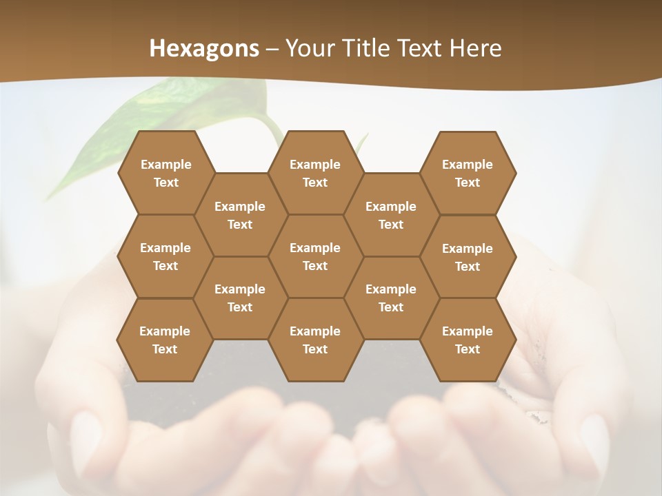 Sprout Grow Cultivated PowerPoint Template