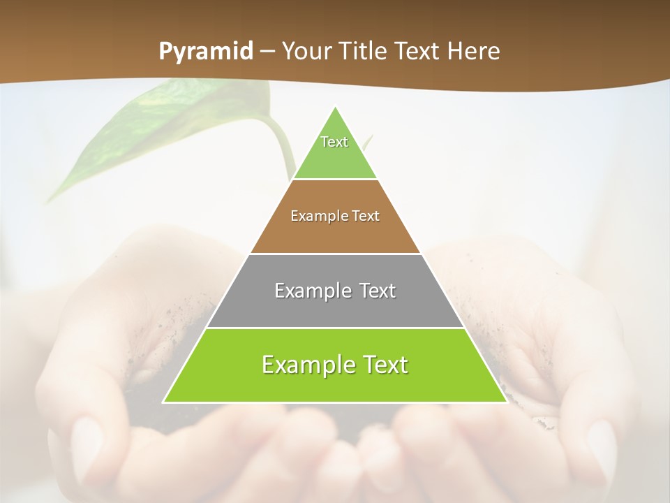 Sprout Grow Cultivated PowerPoint Template