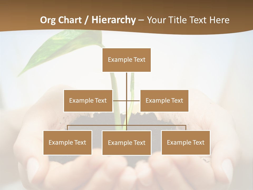 Sprout Grow Cultivated PowerPoint Template