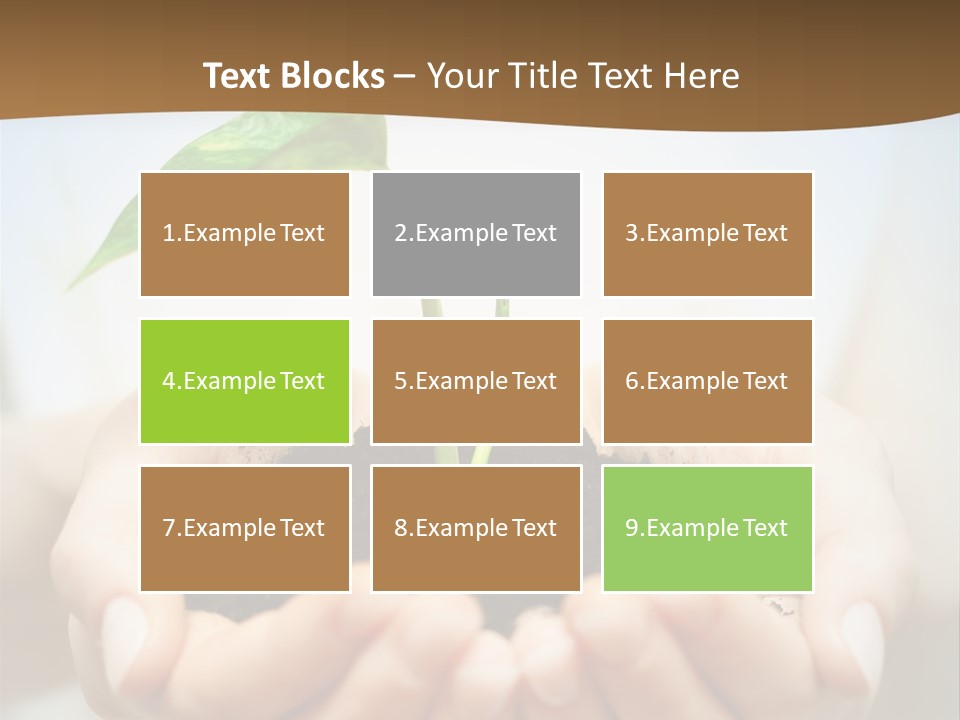 Sprout Grow Cultivated PowerPoint Template