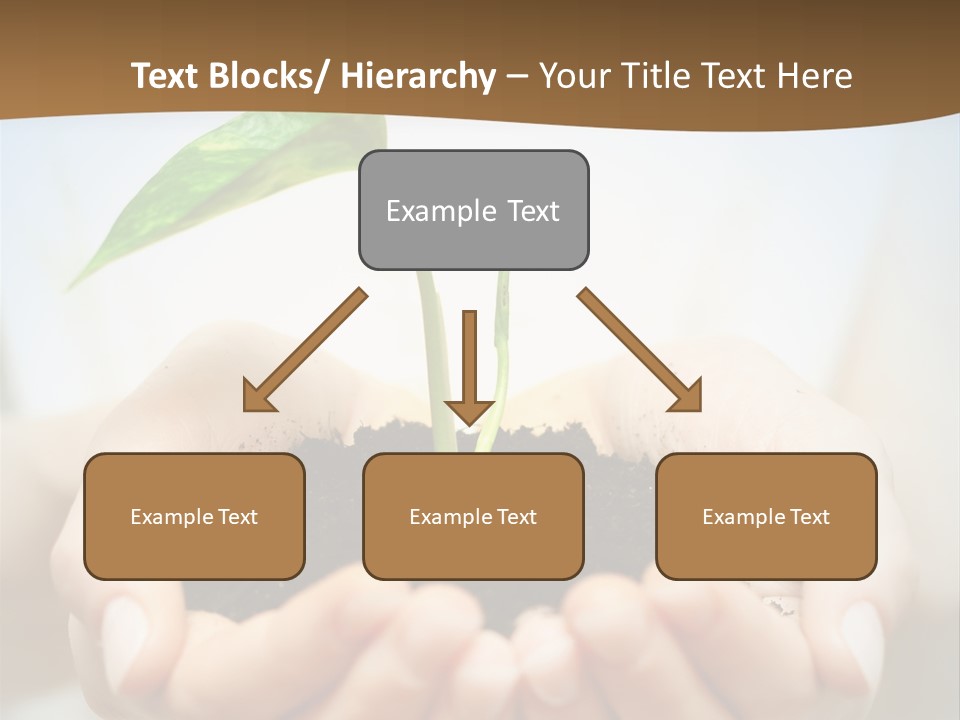 Sprout Grow Cultivated PowerPoint Template