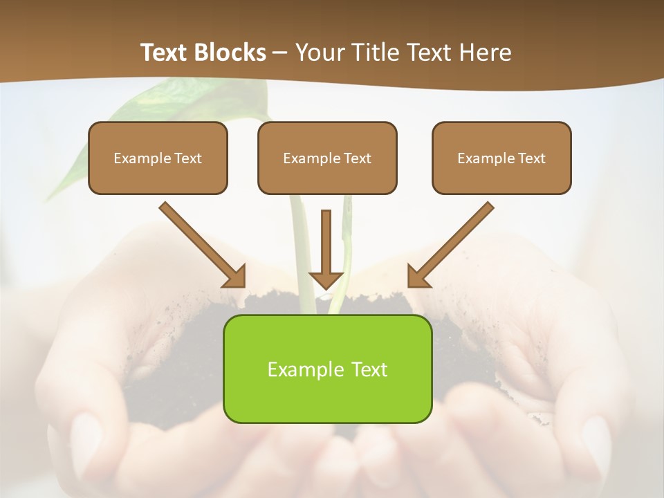 Sprout Grow Cultivated PowerPoint Template