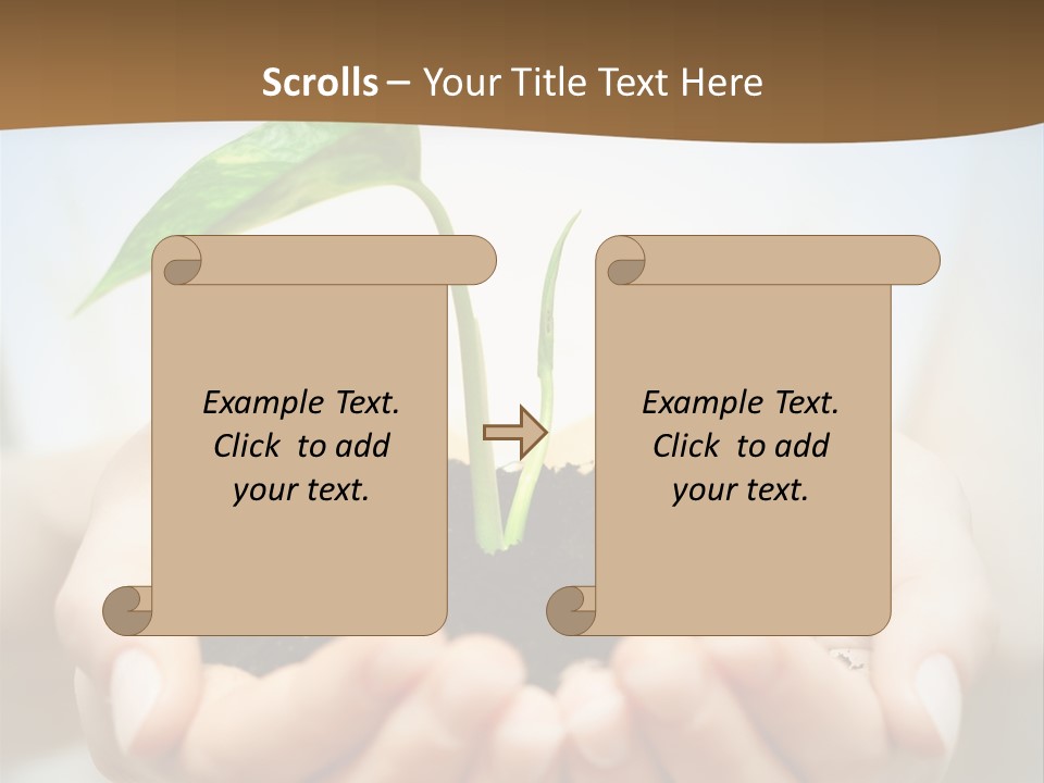 Sprout Grow Cultivated PowerPoint Template