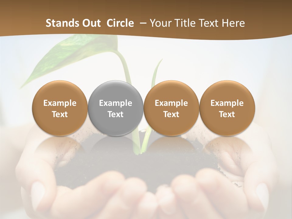 Sprout Grow Cultivated PowerPoint Template