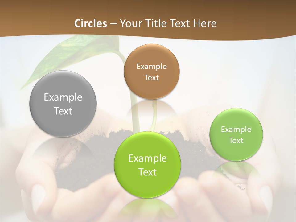 Sprout Grow Cultivated PowerPoint Template