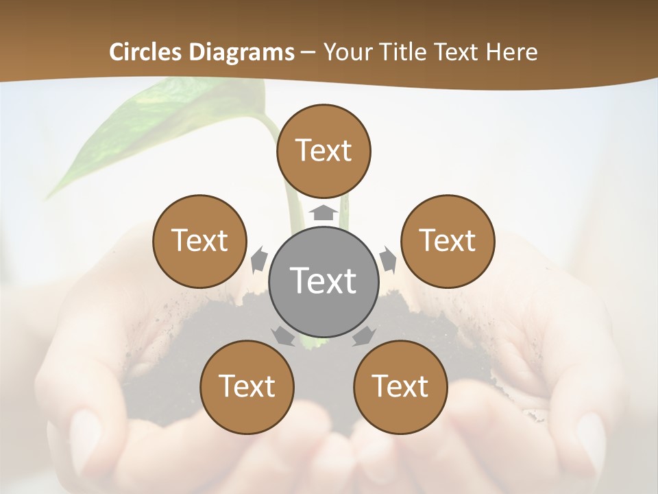 Sprout Grow Cultivated PowerPoint Template