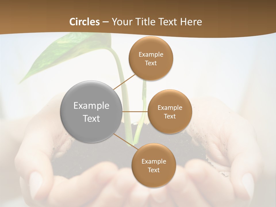 Sprout Grow Cultivated PowerPoint Template