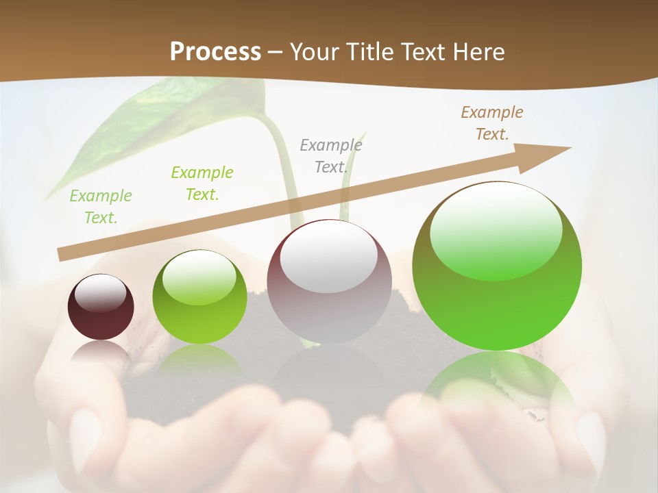 Sprout Grow Cultivated PowerPoint Template