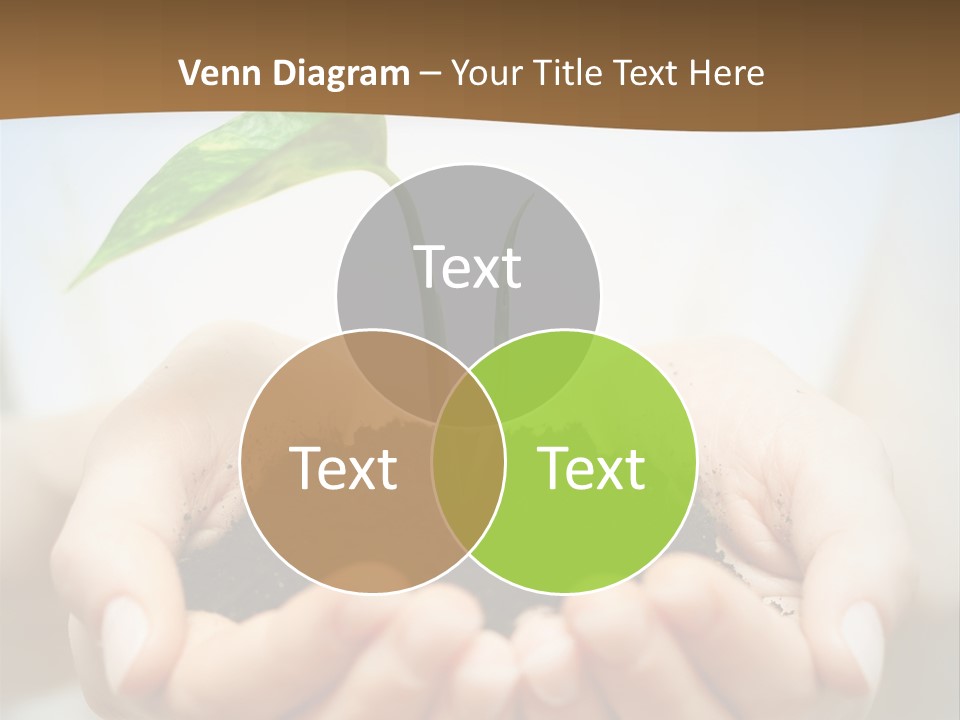 Sprout Grow Cultivated PowerPoint Template