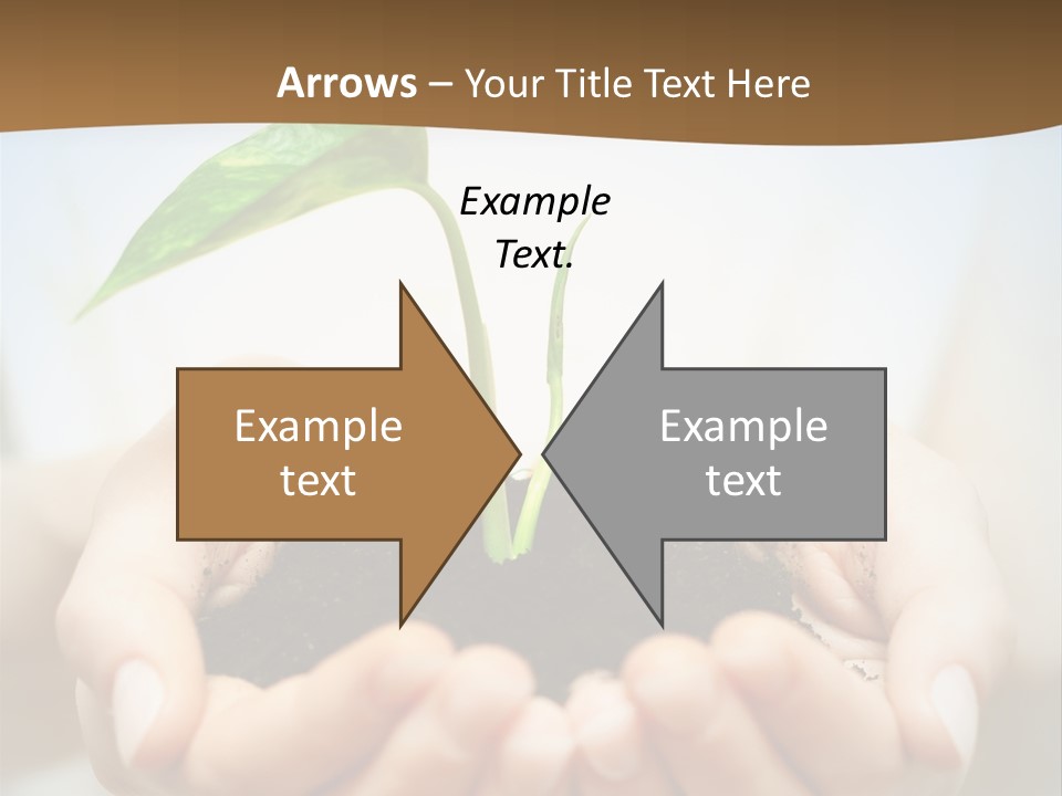 Sprout Grow Cultivated PowerPoint Template